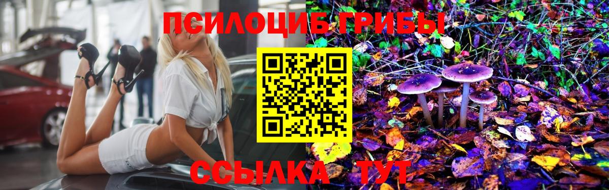 Кондопога  Галлюциногенные грибы Psilocybine cubensis  Вход с VPN  Галлюциногенные грибы Psilocybe 