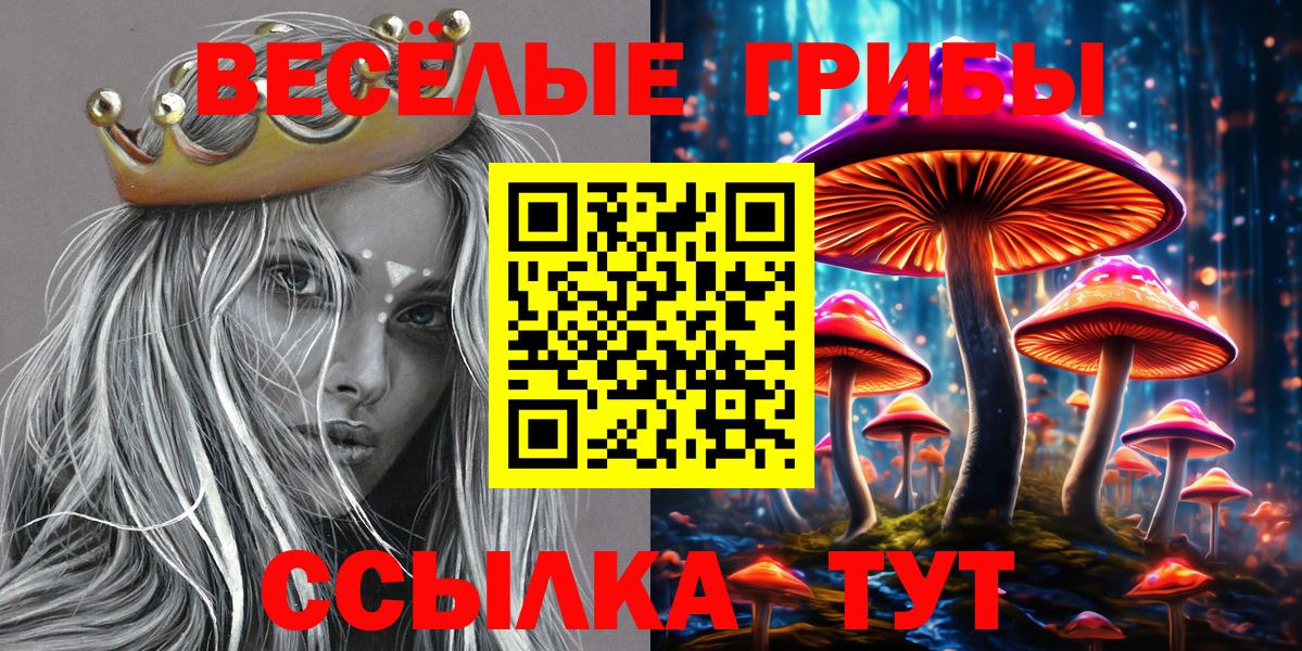 Псилоцибиновые грибы Psilocybe Кондопога